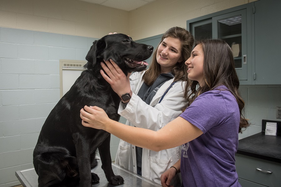 Pre-Veterinary Medicine